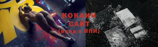 индика Балахна