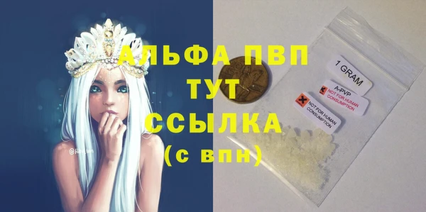 бошки Белокуриха