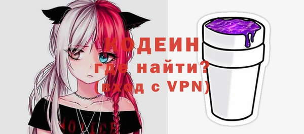 индика Балахна