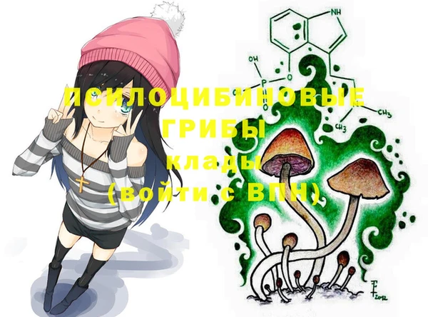 бошки Белокуриха