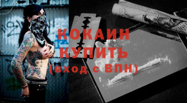 бошки Белокуриха