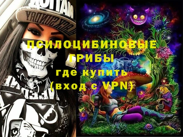 индика Балахна