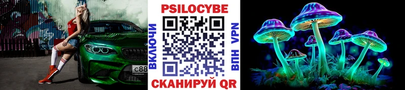 сколько стоит  Губкинский  Галлюциногенные грибы MAGIC MUSHROOMS 